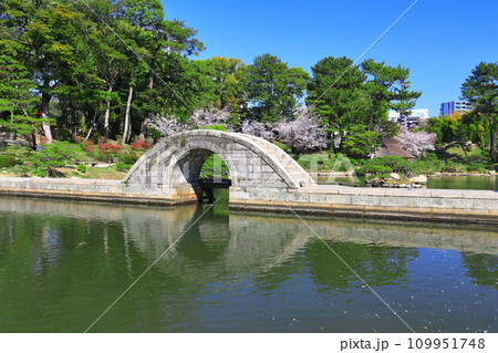 【広島県】桜が満開の縮景園(跨虹橋) 【広島県】桜が満開の縮景園(跨虹橋) 109951748