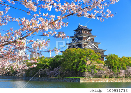 【広島県】桜が満開の広島城天守閣 109951758