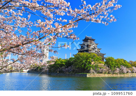 【広島県】桜が満開の広島城天守閣 109951760