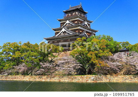 【広島県】桜が満開の広島城天守閣 109951765
