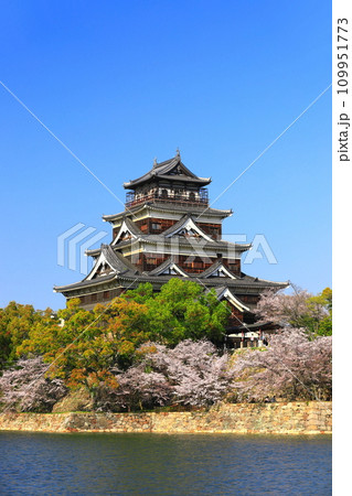【広島県】桜が満開の広島城天守閣 109951773