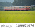 稲穂の香り立つ　小湊鉄道　 109951976