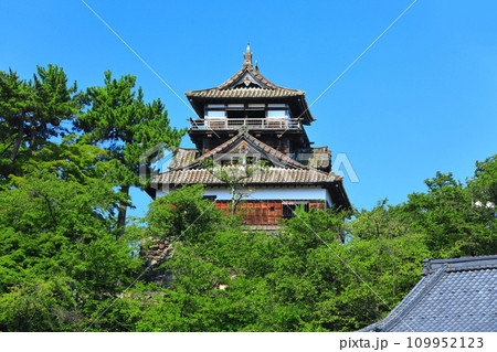 【福井県】快晴の丸岡城（現存12天守） 109952123