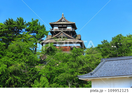 【福井県】快晴の丸岡城(現存12天守) 【福井県】快晴の丸岡城(現存12天守) 109952125