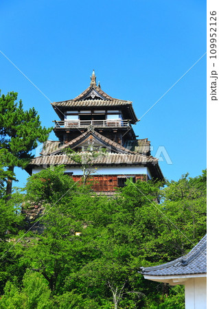 【福井県】快晴の丸岡城（現存12天守） 109952126