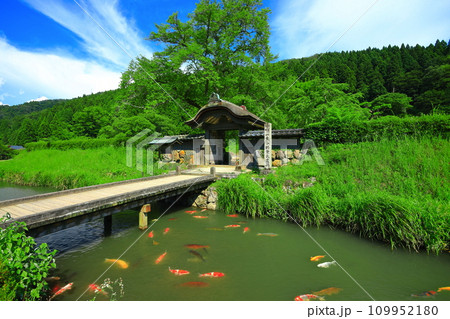 【福井県】晴天の一乗谷朝倉氏遺跡（朝倉館跡） 109952180