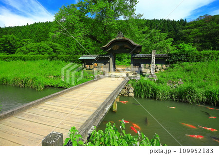【福井県】晴天の一乗谷朝倉氏遺跡(朝倉館跡) 【福井県】晴天の一乗谷朝倉氏遺跡(朝倉館跡) 109952183
