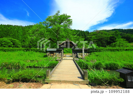 【福井県】晴天の一乗谷朝倉氏遺跡(朝倉館跡) 【福井県】晴天の一乗谷朝倉氏遺跡(朝倉館跡) 109952188