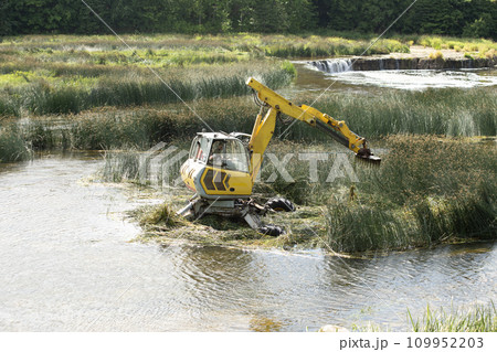 Cleaning the Ventas river from algae, Kuldiga, Latvija. High quality photo 109952203