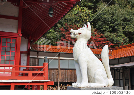 大寧寺の紅葉 大寧寺の紅葉 109952430