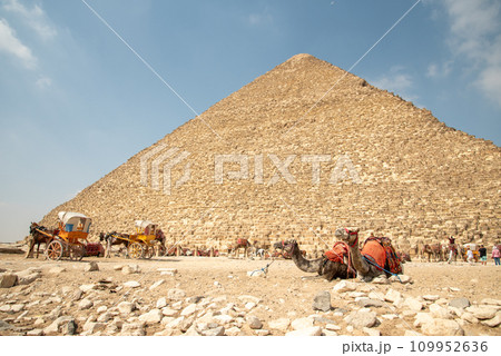 エジプトギザのピラミッドにいるラクダの光景 109952636
