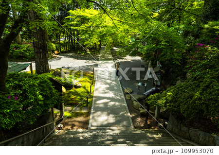 観光スポット　新緑に映える大興善寺　境内風景「天台宗別格本山 大興善寺」(佐賀県三養基郡基山町) 109953070