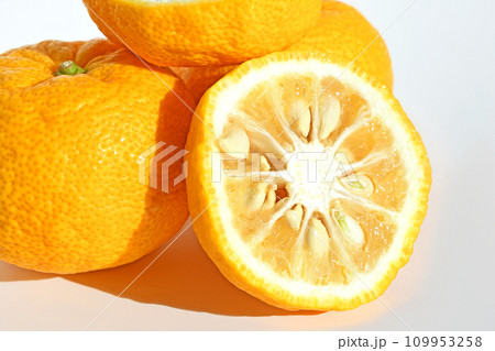 高知県産のゆず 109953258