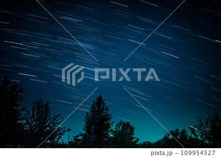 Startrails above dark forest 109954527