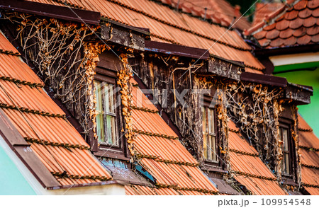 Side view of old roof Side view of old roof 109954548
