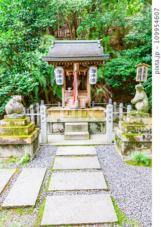 京都市左京区鹿ケ谷宮ノ前町の大豊神社 大国社 京都市左京区鹿ケ谷宮ノ前町の大豊神社 大国社 109954607