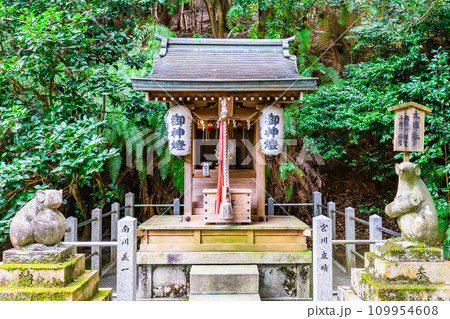 京都市左京区鹿ケ谷宮ノ前町の大豊神社 大国社 京都市左京区鹿ケ谷宮ノ前町の大豊神社 大国社 109954608