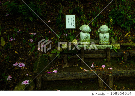 ほほえみ地蔵　自然の四季が楽しめる山林植物の大興善寺契園（ちぎりえん）　(佐賀県三養基郡基山町) 109954614