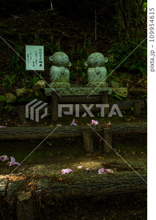 ほほえみ地蔵　自然の四季が楽しめる山林植物の大興善寺契園（ちぎりえん）　(佐賀県三養基郡基山町) 109954615