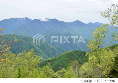 長野　しらびそ峠 109954996