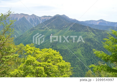 長野 しらびそ峠 長野 しらびそ峠 109954997