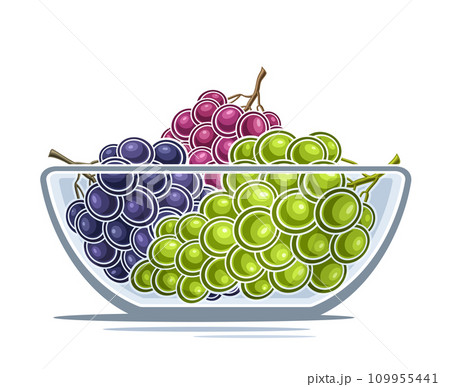 Vector logo for Grape 109955441