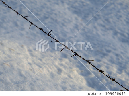 Barbed wire on a light background or snow, one line. 109956052