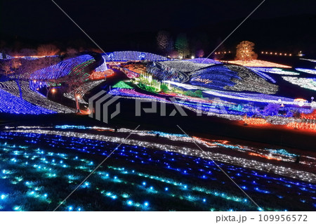 【香川県】冬の国営讃岐まんのう公園 (イルミネーション) 【香川県】冬の国営讃岐まんのう公園 (イルミネーション) 109956572