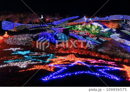 【香川県】冬の国営讃岐まんのう公園 (イルミネーション) 109956575