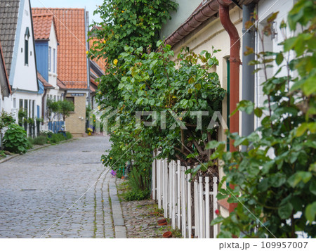 the city of Schleswig at the river schlei in germany the city of Schleswig at the river schlei in germany 109957007