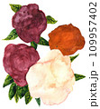 Watercolor drawing of four flowers 109957402