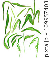 Hand drawn grass stems set 109957403