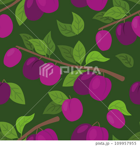 Seamless Plum Harvest Pattern with dark green background Seamless Plum Harvest Pattern with dark green background 109957955