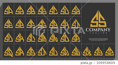 Luxury line arch dome letter S SS logo design set 109958604