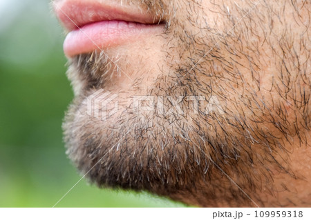 Bearded male chin. Beard on the face of a young man. Bearded male chin. Beard on the face of a young man. 109959318