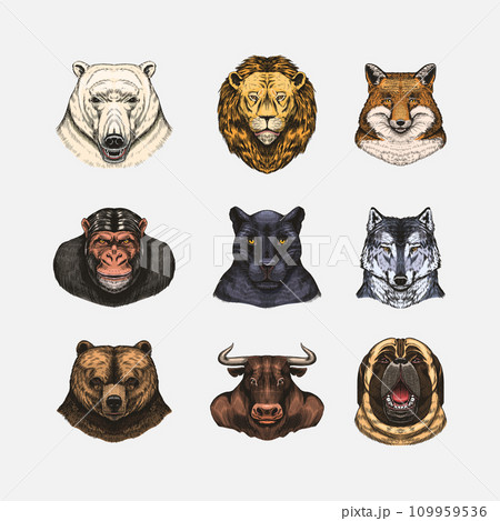 Fox and raccoon, dog Deer and hare, panther and wolf monkey Polar bear and lion, Brown bear and bull 109959536