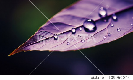 AI-generated content. A close up of a purple leaf with water droplets on it, AI 109960078