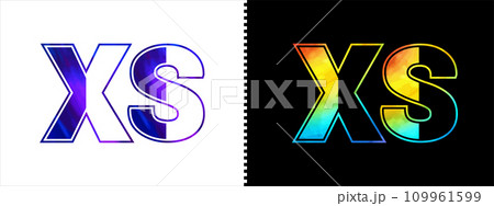 Unique XS letter logo Icon vector template. Premium stylish alphabet logo design for corporate business 109961599