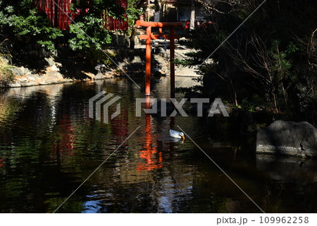 神社境内・初詣・お正月の背景素材 神社境内・初詣・お正月の背景素材 109962258