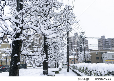 Beautiful, city snow scenes photographed in Niigata City on December 22, 2023. 109962533