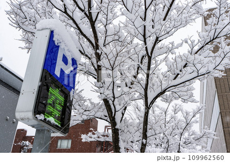 Beautiful, city snow scenes photographed in Niigata City on December 22, 2023. 109962560