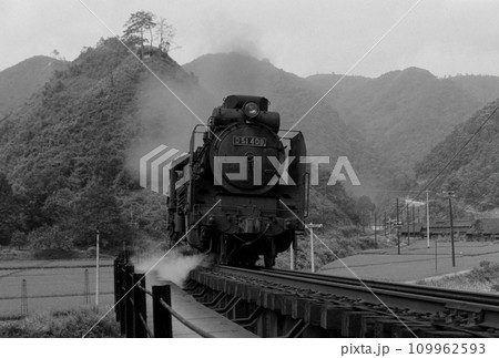 （昭和の記録）蒸気機関車D51単機：1971年、伯備線、布原信号所、モノクロフィルム 109962593