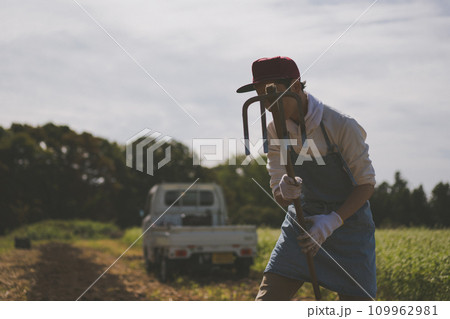 vegetable field 109962981