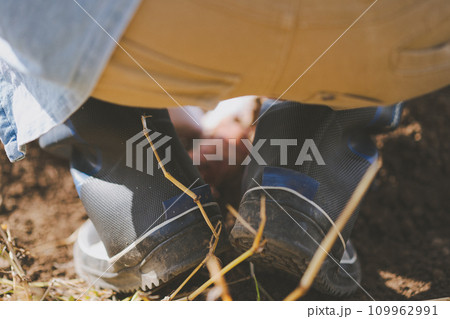 vegetable field vegetable field 109962991
