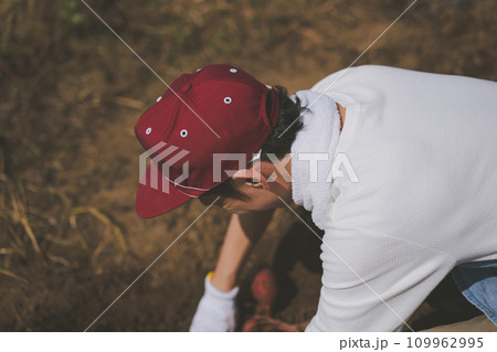 vegetable field vegetable field 109962995