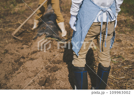 vegetable field 109963002