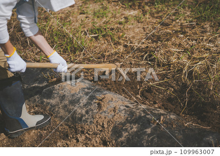 vegetable field vegetable field 109963007