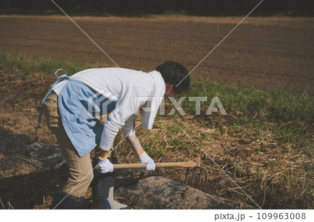 vegetable field 109963008