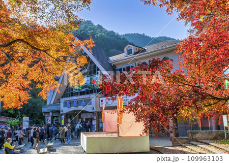 高尾山 ケーブルカー駅 清滝駅の紅葉 高尾山 ケーブルカー駅 清滝駅の紅葉 109963103