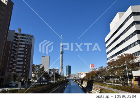 北十間川と東京スカイツリー 北十間川と東京スカイツリー 109963584